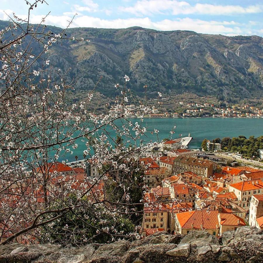 Old Town Boskovic Apartment Kotor Exterior foto